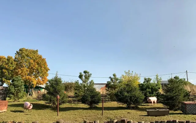Стандарт